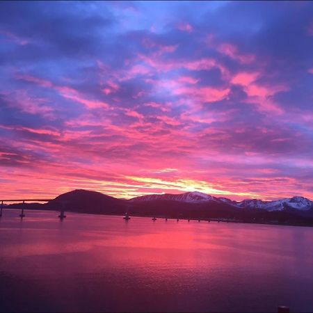 Harstad, All Seasons Lägenhet Exteriör bild