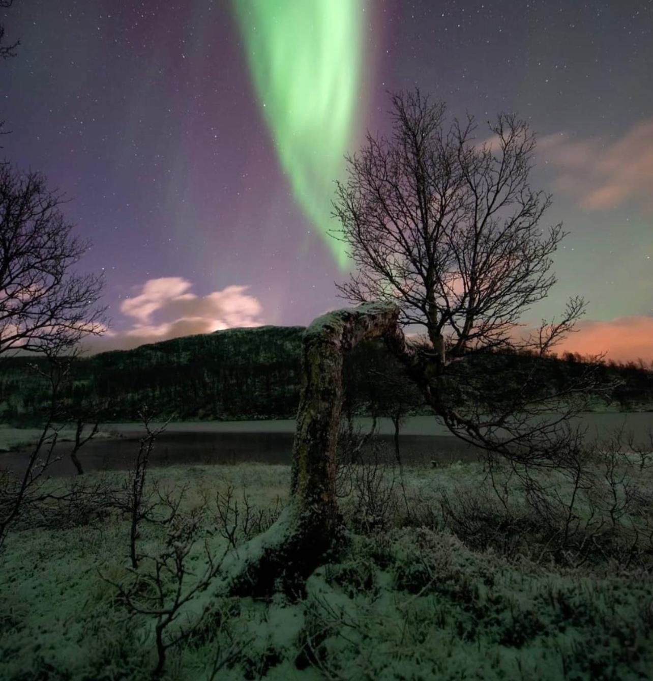 Harstad, All Seasons Lägenhet Exteriör bild