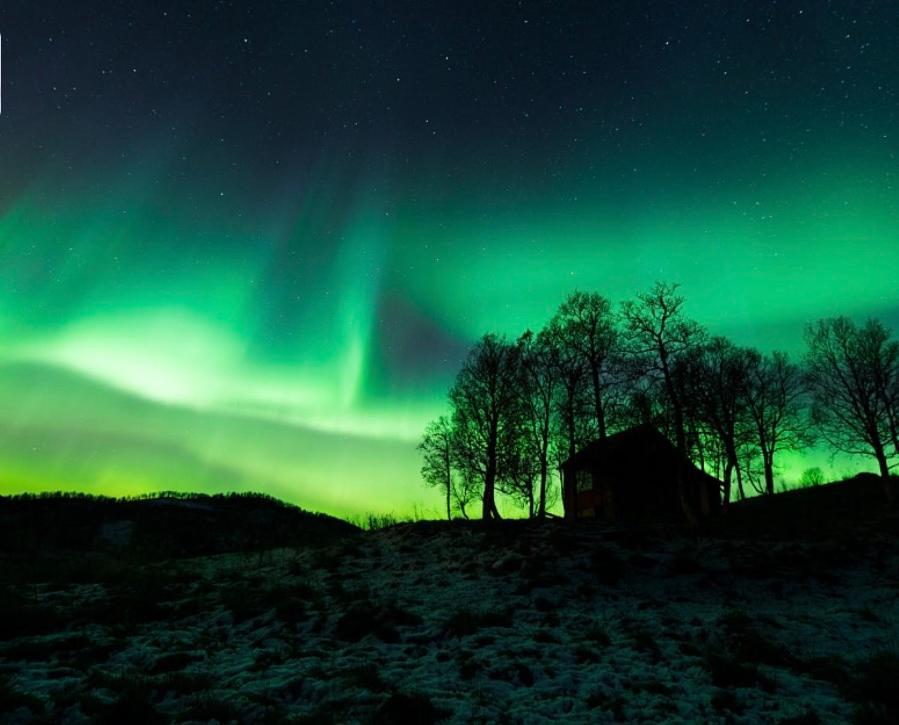 Harstad, All Seasons Lägenhet Exteriör bild